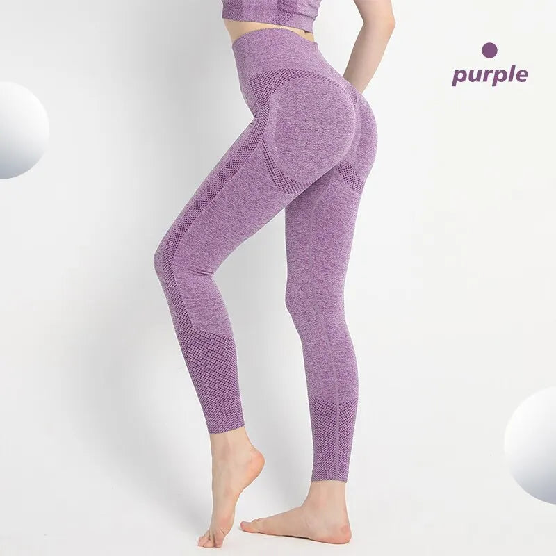 Sculptura™ Seamless Leggings – Perfektion in Komfort und Stil